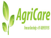 https://www.paruluniversity.ac.in/AGRICARE