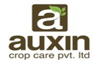 https://www.paruluniversity.ac.in/AUXIN