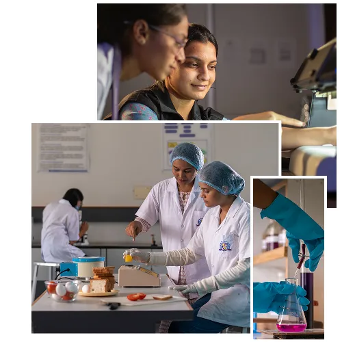 Cultivate the leader