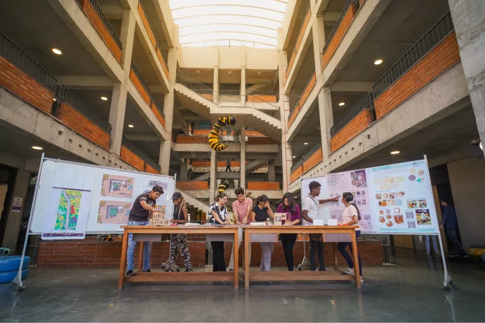 PORTFOLIO OVER PAPERS