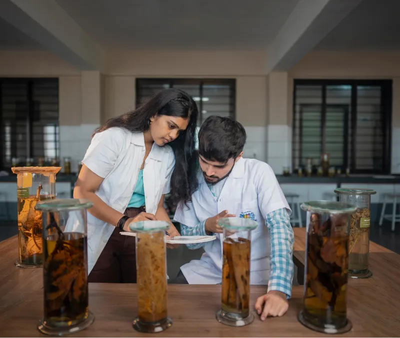 Plant Tissue Culture Lab