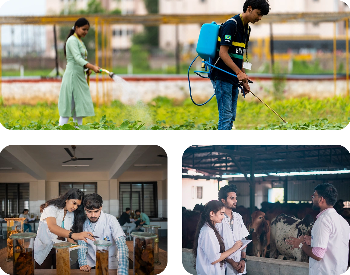 About MSC Agriculture Program