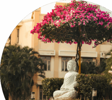 Celebrate and explore at Parul University