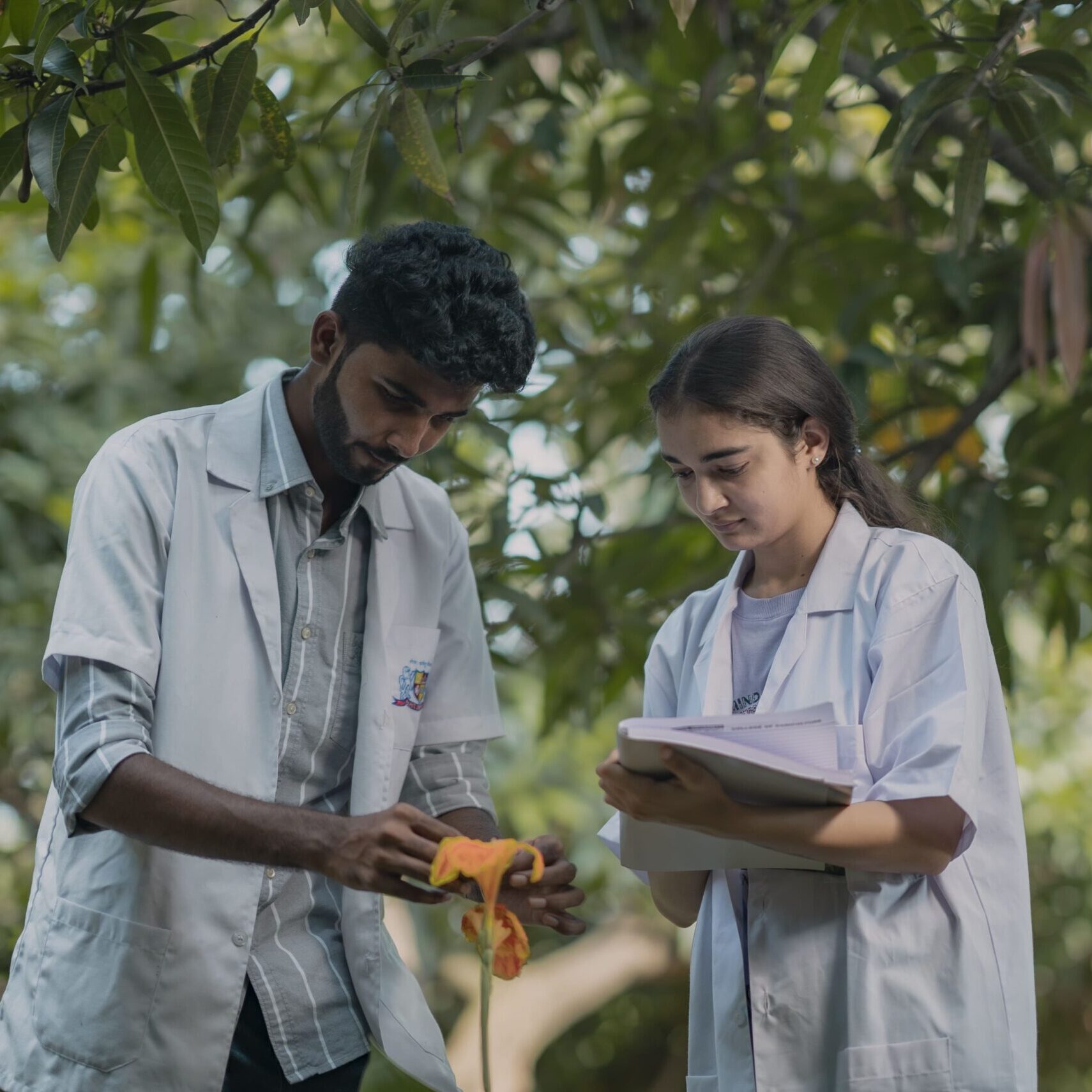 Environmental conservation 