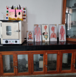 Physiology Equipment