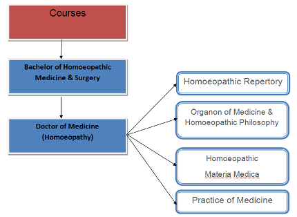 Courses Flowchart