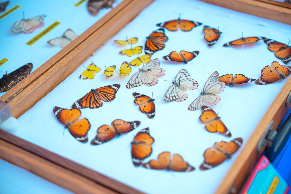 Parul University Organized AgriFest 2026: Where Students, Farmers, and Innovations Meet at One Campus