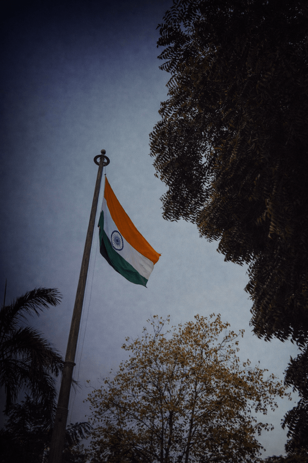 Statutory and Compliance Disclosures