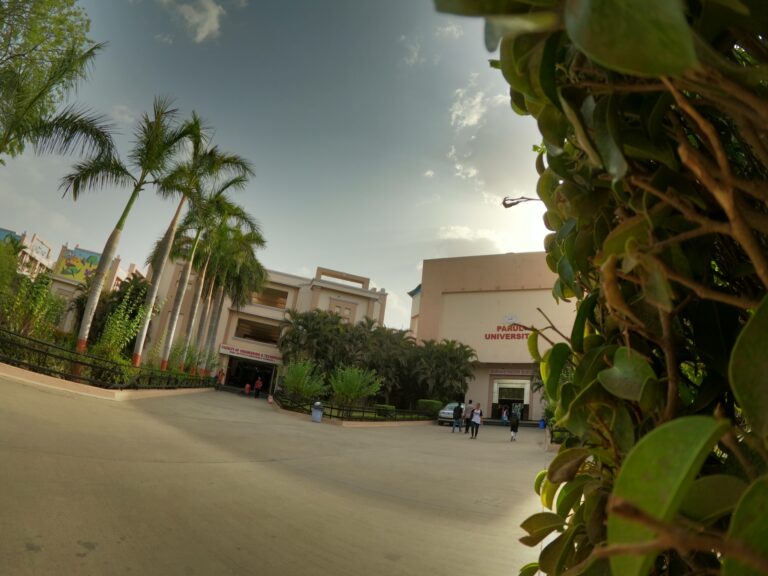 Is Parul University Good for Placements? Honest Answers with Data