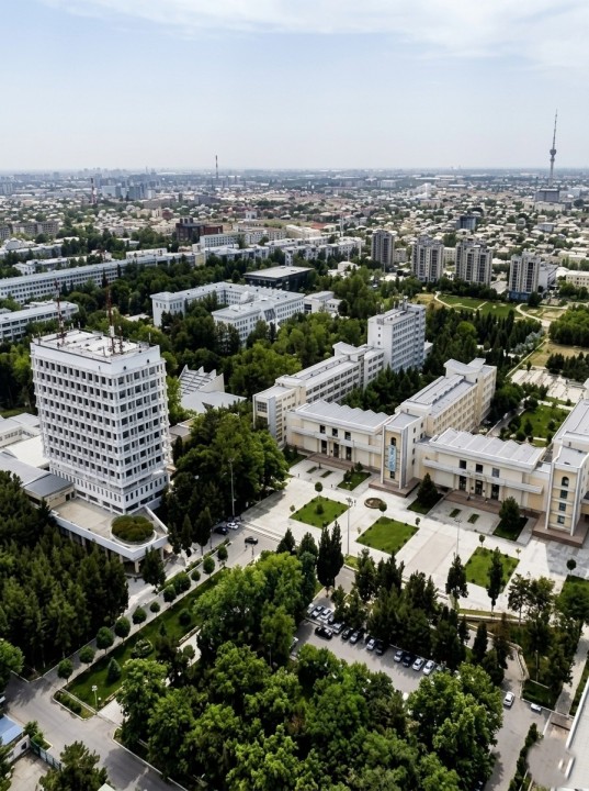 National University of Uzbekistan