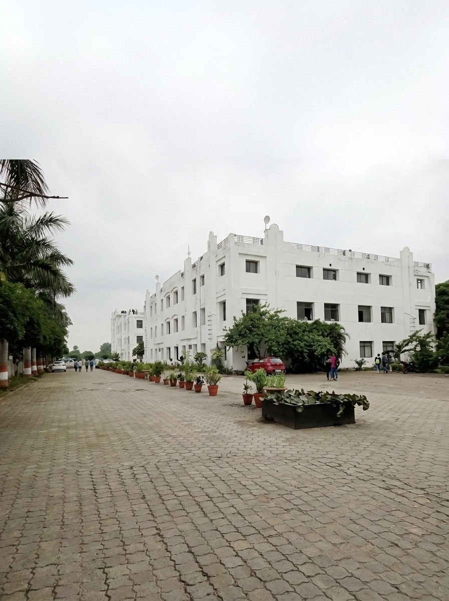 Ranaissance University