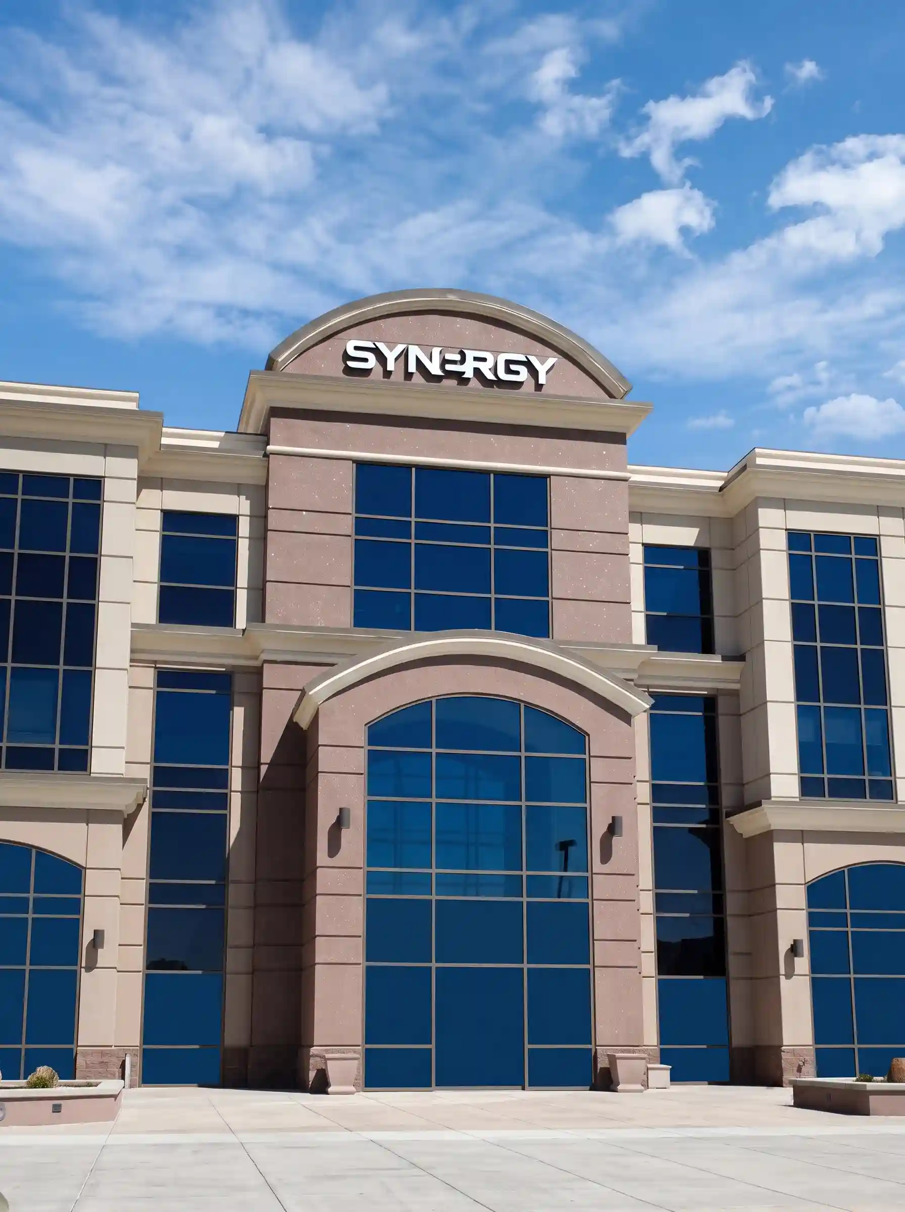 Synergy University