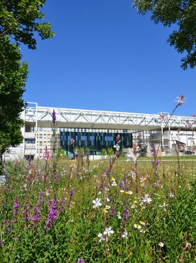 Universite Bourgogne Europe