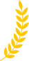 Parul University recognition laurel graphic