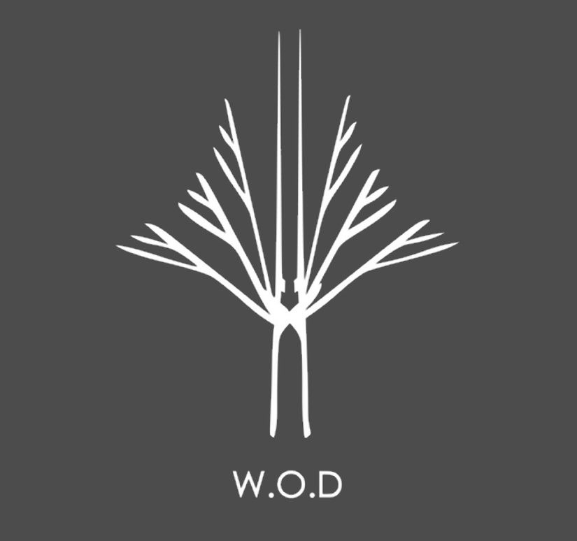 Wooden Owl