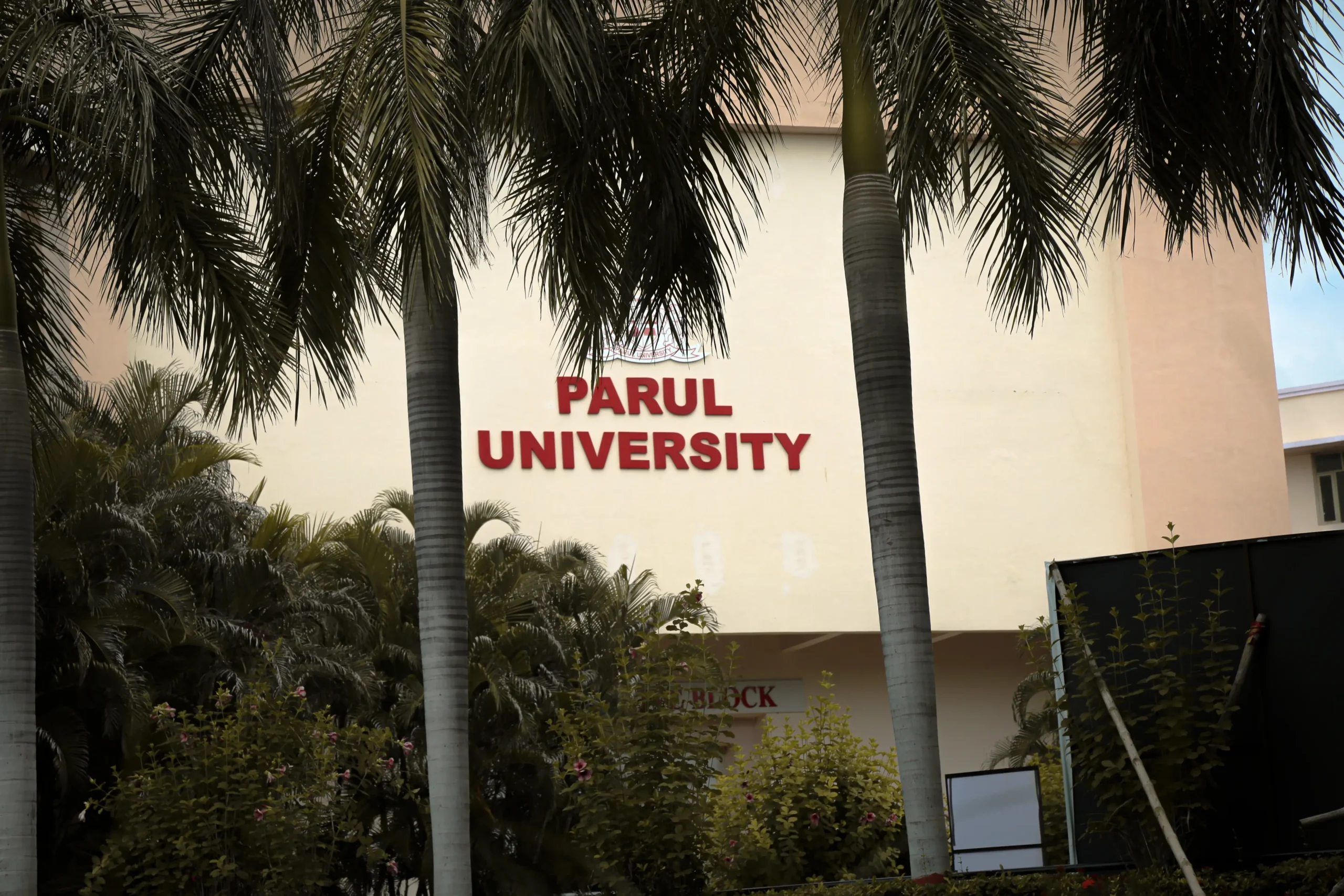 Why strong fundamentals beat specialisation for freshers